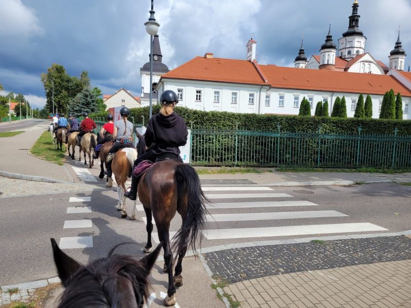 Rajdy konne w Puszczy Knyszyńskiej
